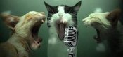 WeyHalla Karaoke - Sing Dei Ding