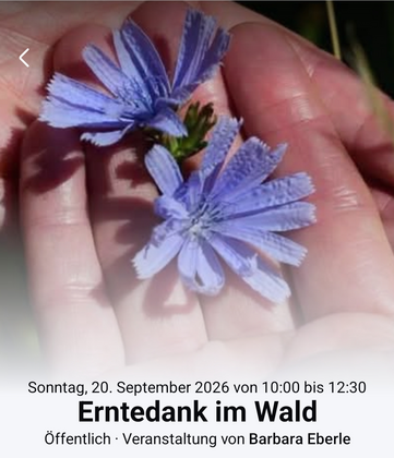 Erntedank im Wald