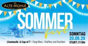 Sommerfest-Hocketse („Mühlenhock“)