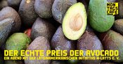 DER ECHTE PREIS DER AVOCADO - Ein Abend mit der lateinamerikanischen Initiative M-Latts e.V.