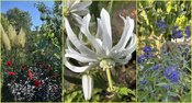Elfter literarischer Gartensalon