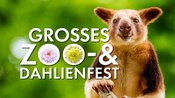Großes Zoo- und Dahlienfest