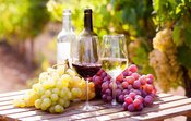 Weinfest Osterwald