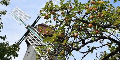 Buntes BioS Herbstfest