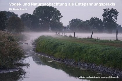 Vogel- und Naturbeobachtung als Entspannungspraxis