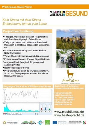 Kein Stress mit dem Stress - Entspannung lernen vom Lama