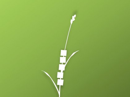 Benefiz für die Seegrasspinnerei | Nürtingen | Benezifkonzert