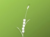 Benefiz für die Seegrasspinnerei | Nürtingen | Benezifkonzert