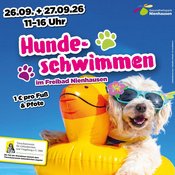 Hundeschwimmen