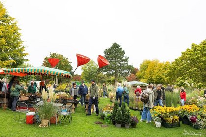 Herbstmarkt im Park