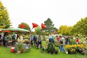 Herbstmarkt im Park