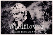 Wildflower: Rhythm, Blues & Soulfood im SOUNDWERK