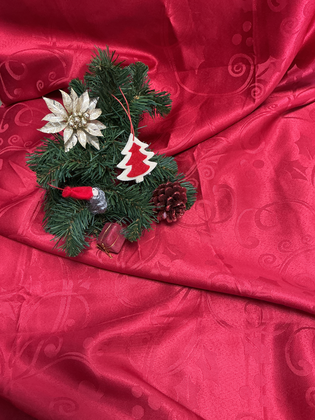Lebendiger Adventskalender