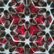Doublefeature: Kaleidoskop & Behind the Mind
