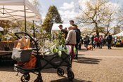 Herbst-Pflanzenraritätenmarkt