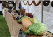 Herbstfest und Aktionstag im Dörpmuseum
