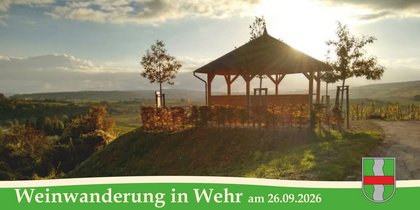 Weinwanderung in Wehr – Genuss trifft Mosellandschaft
