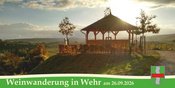 Weinwanderung in Wehr – Genuss trifft Mosellandschaft
