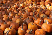 Herbstfest