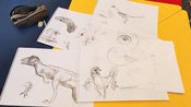 Jugendmuseum: Zeichen-Workshop - Wie werden aus Fossilien Bilder von Urzeitwesen?