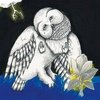 Suche junge Musiker*innen für Noise Rock/Postpunk/AltCountry