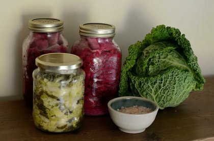 Fermentieren für Anfänger