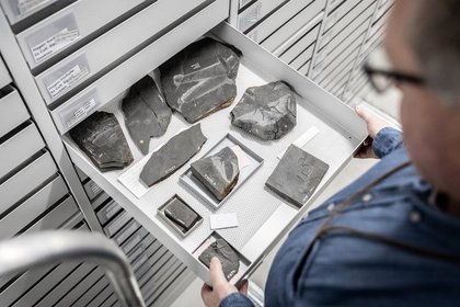 Verborgene Schätze entdecken - Exklusive Führung durch die Museumssammlung