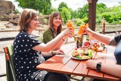 Brunch & Führung