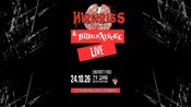 HIRNRISS & BILDUNXLÜCKE