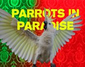 Parrots in Paradise - Queerer Paartanz