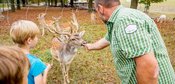 Ferienspaß: Entdeckungstour Wald - 27.10.2026