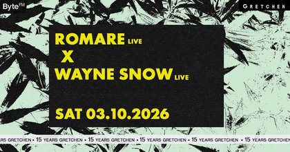 15 Years GRETCHEN: ROMARE + WAYNE SNOW
