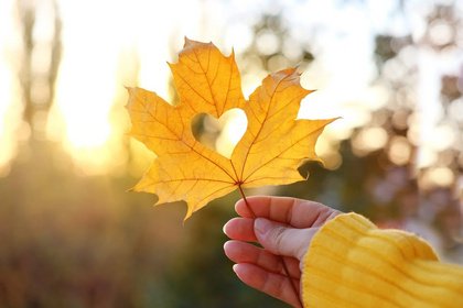 Herbstfest in Wietze