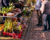 Pflanzenflohmarkt