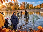 Das große Abfischen am Pelzmühlenteich