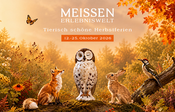 Tierisch kreativ: Herbstferien bei MEISSEN