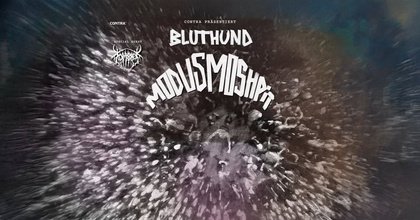 Bluthund • Viper Room • Wien