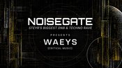 NOISEGATE XL WITH WAEYS – DNB & TECHNO STEYR