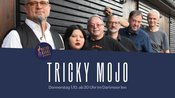 Tricky Mojo im Dartmoor Inn
