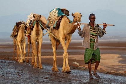 LZ Diashow Afrika Highlights – von Marokko bis Südafrika