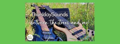 between the trees and me @ ThursdaySounds