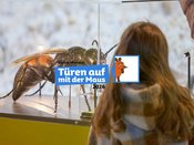 Familientag "Türen auf mit der Maus" (Eintritt frei!)
