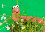 Figurentheater Dornerei: Superwurm