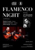 FLAMENCO NIGHT