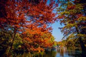 Herbstfest im Gans am Wasser