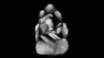 Eröffnung: Isaac Chong Wai & Käthe Kollwitz – Die Mütter