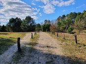Auf historischen Pfaden – Parforceheide & Jagdschloss Stern