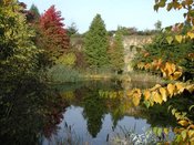 Immer wieder sonntags !! „Wenn die Tage kürzer werden“ - Rundgang zum Herbstbeginn