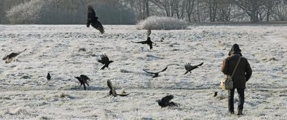 Open Air Ende: Watching People - Watching Birds