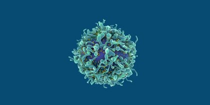 Zell- und Gentherapien. Was bringt die Medizin der Zukunft?